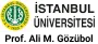 İstanbul Üni Logo